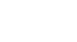 JAPANESE